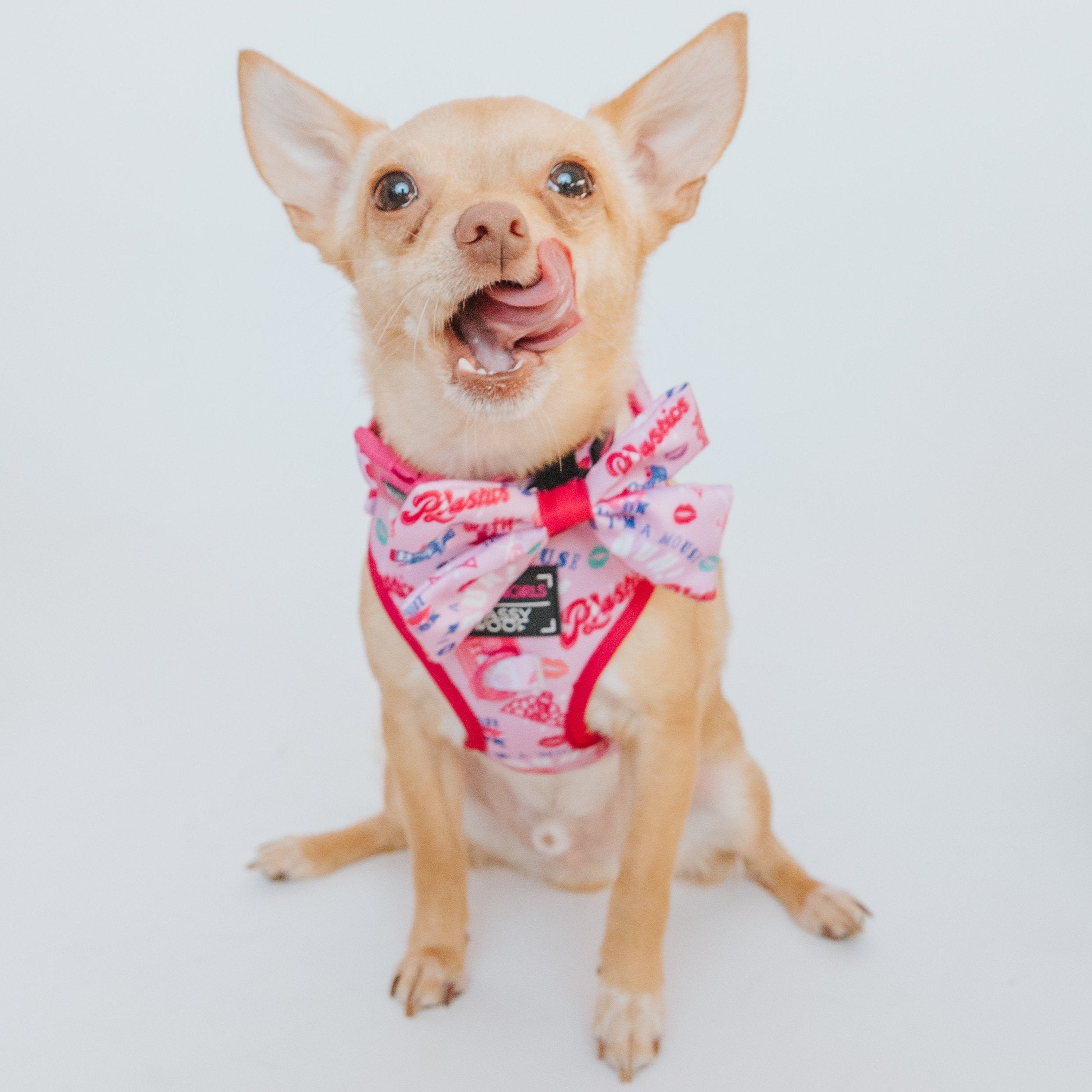 Dog Adjustable Harness - Mean Girls™