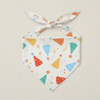 Birthday Dog Bandana