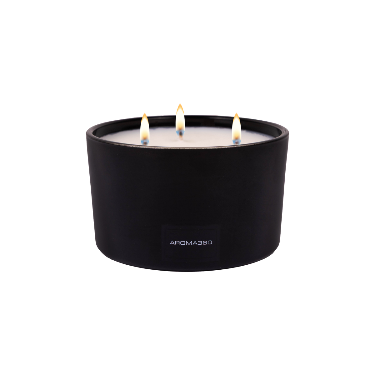 Déjà Vu 3-Wick Candle - HT Animal Supply