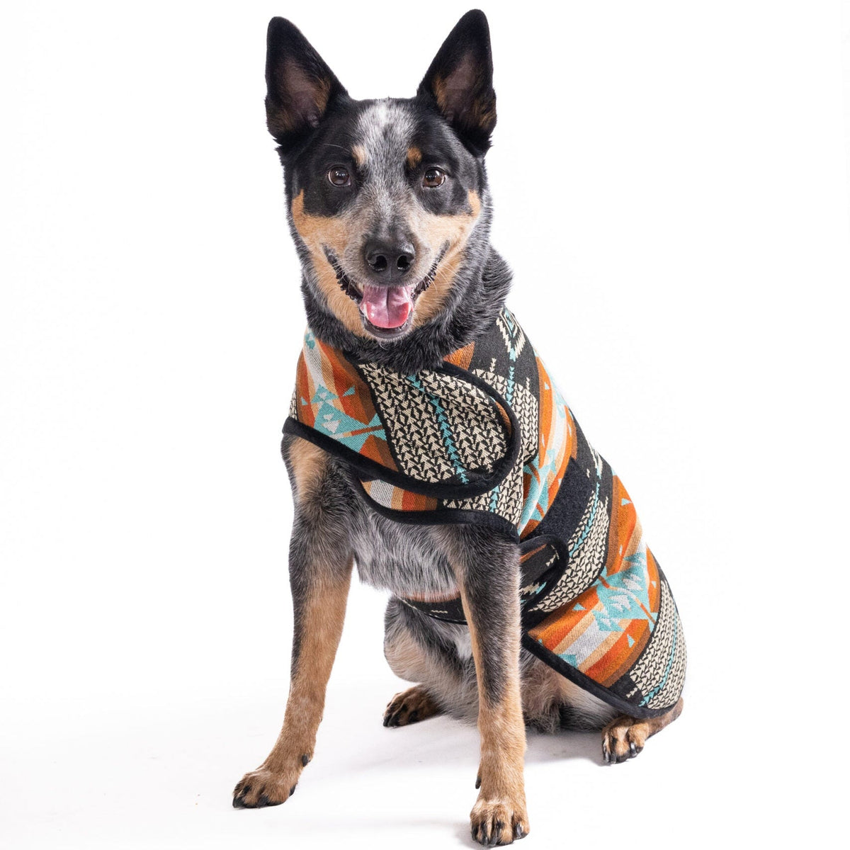 Chilly Dog Black Canyon Wool Blanket Dog Coat