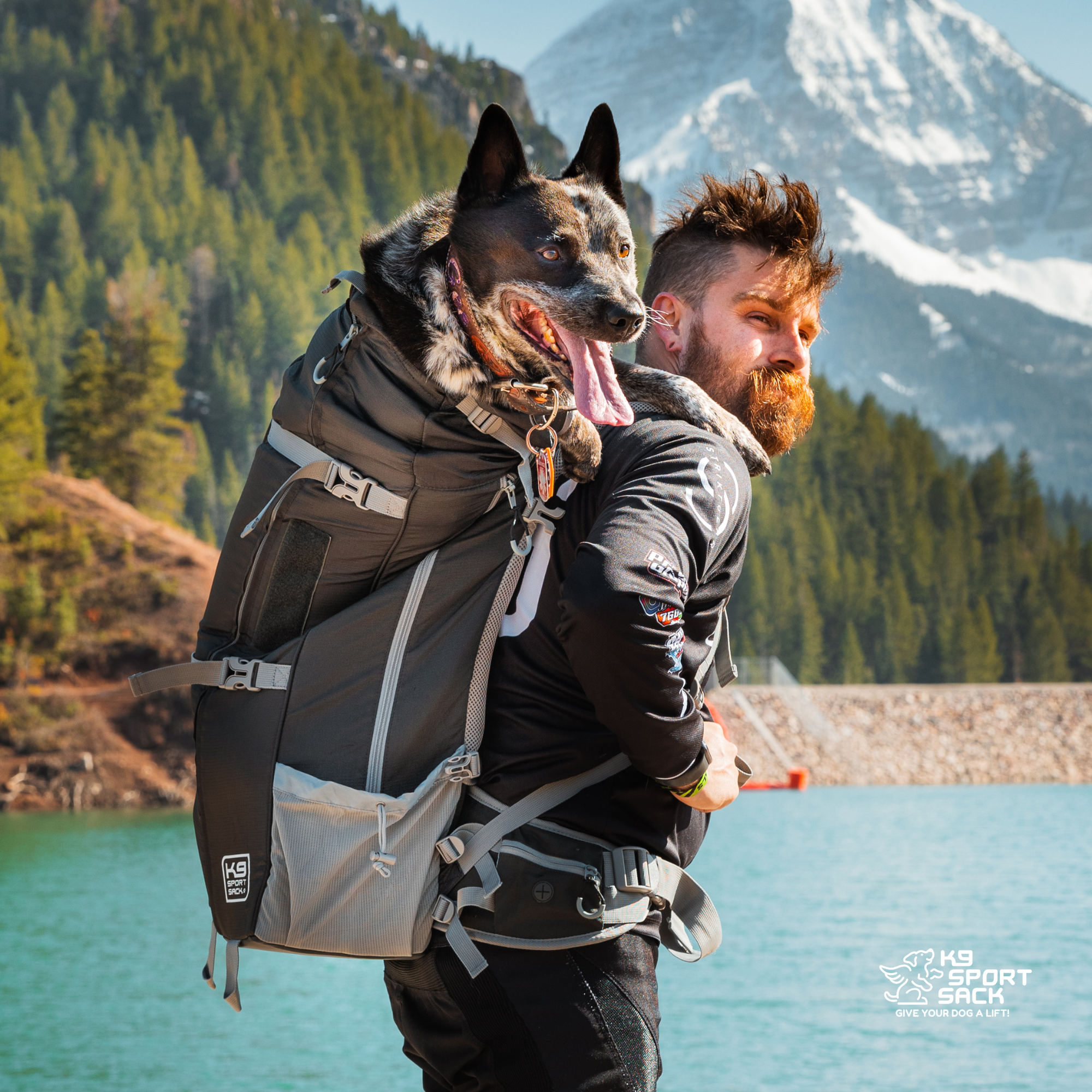 Kolossus | Big Dog Carrier & Backpacking Pack