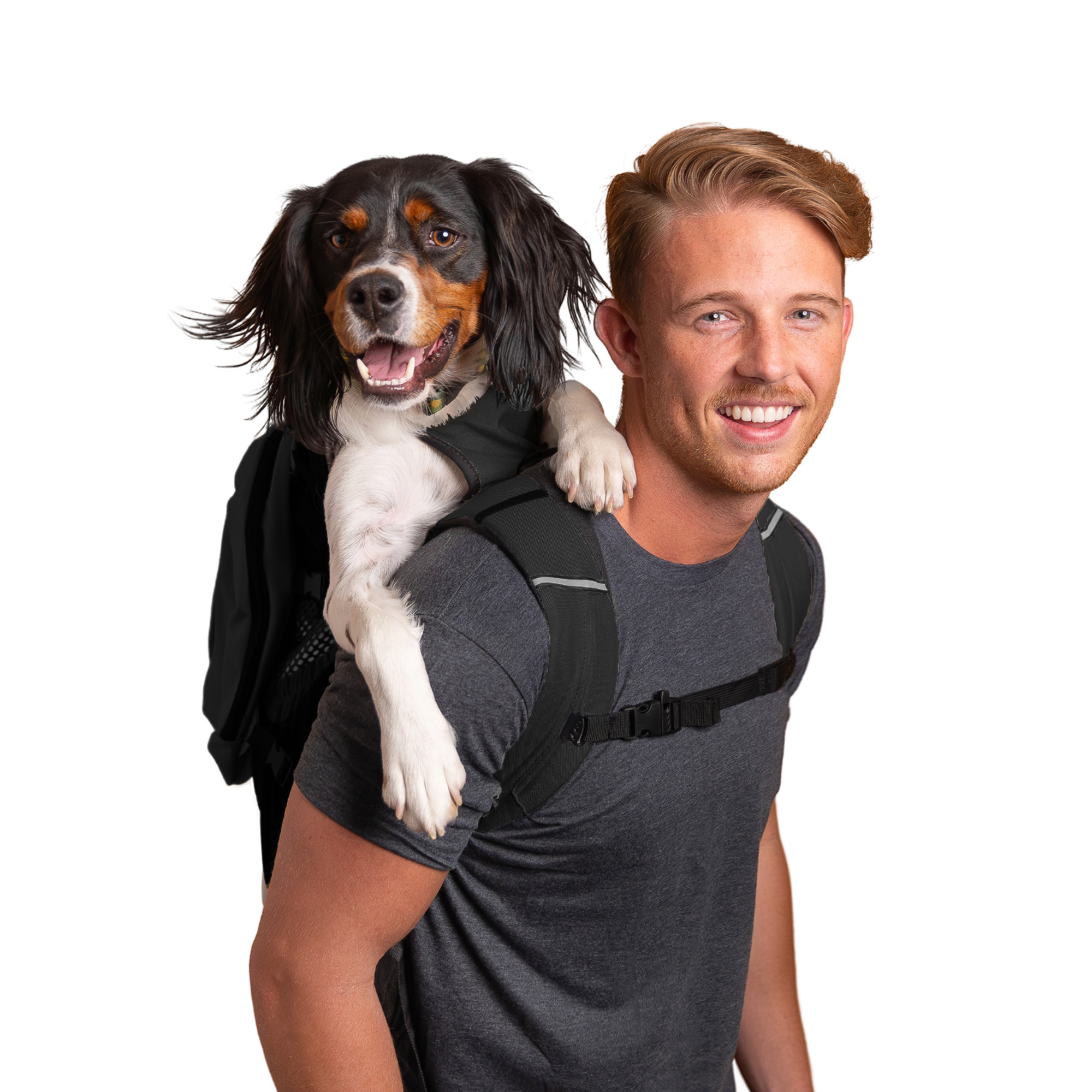Plus 2 | Dog Carrier with Removable Storage