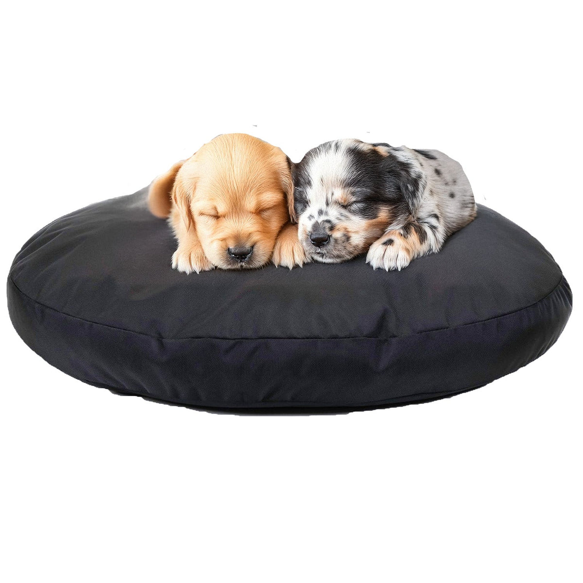Round Armor Dog Bed