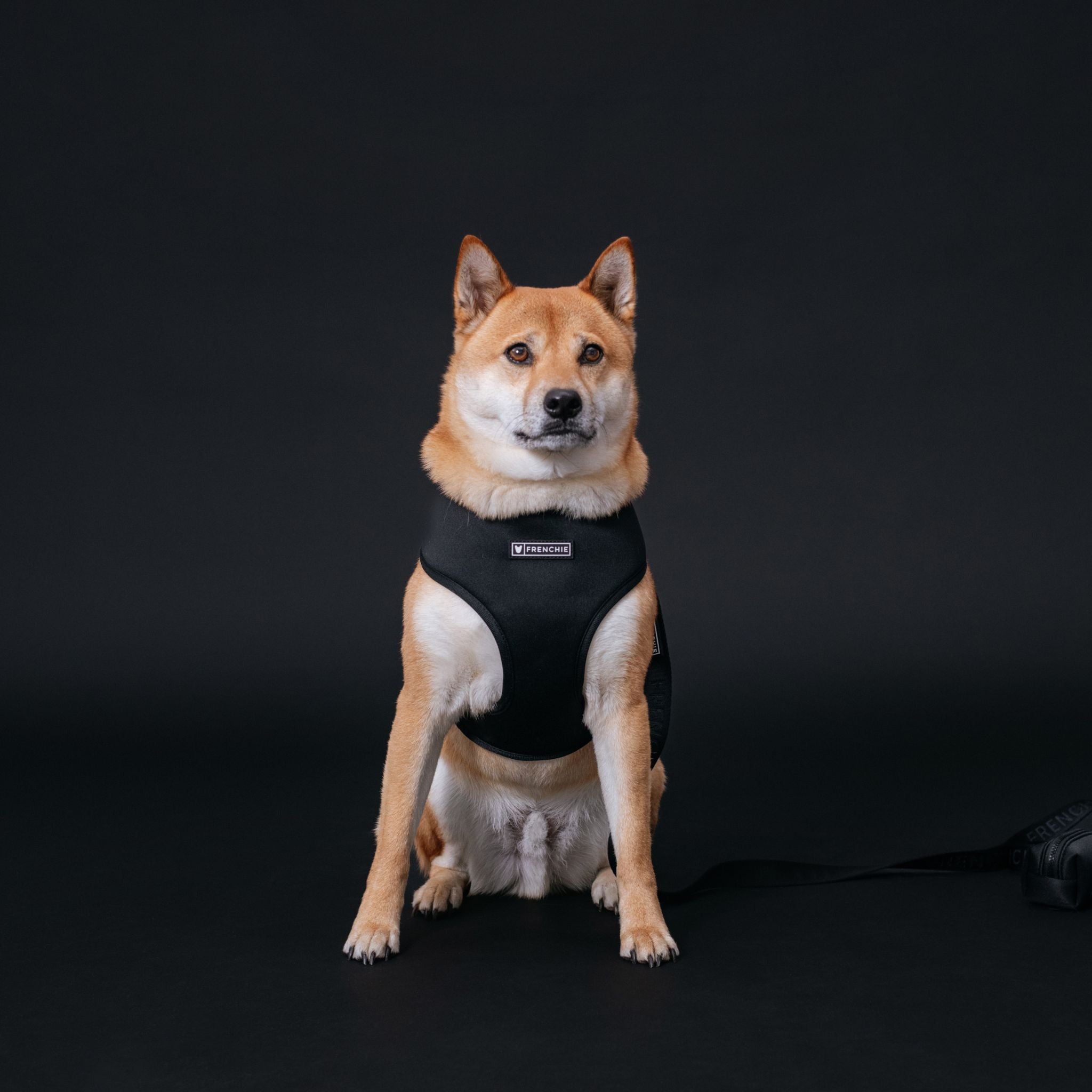 Frenchie Duo Reversible Harness - Black