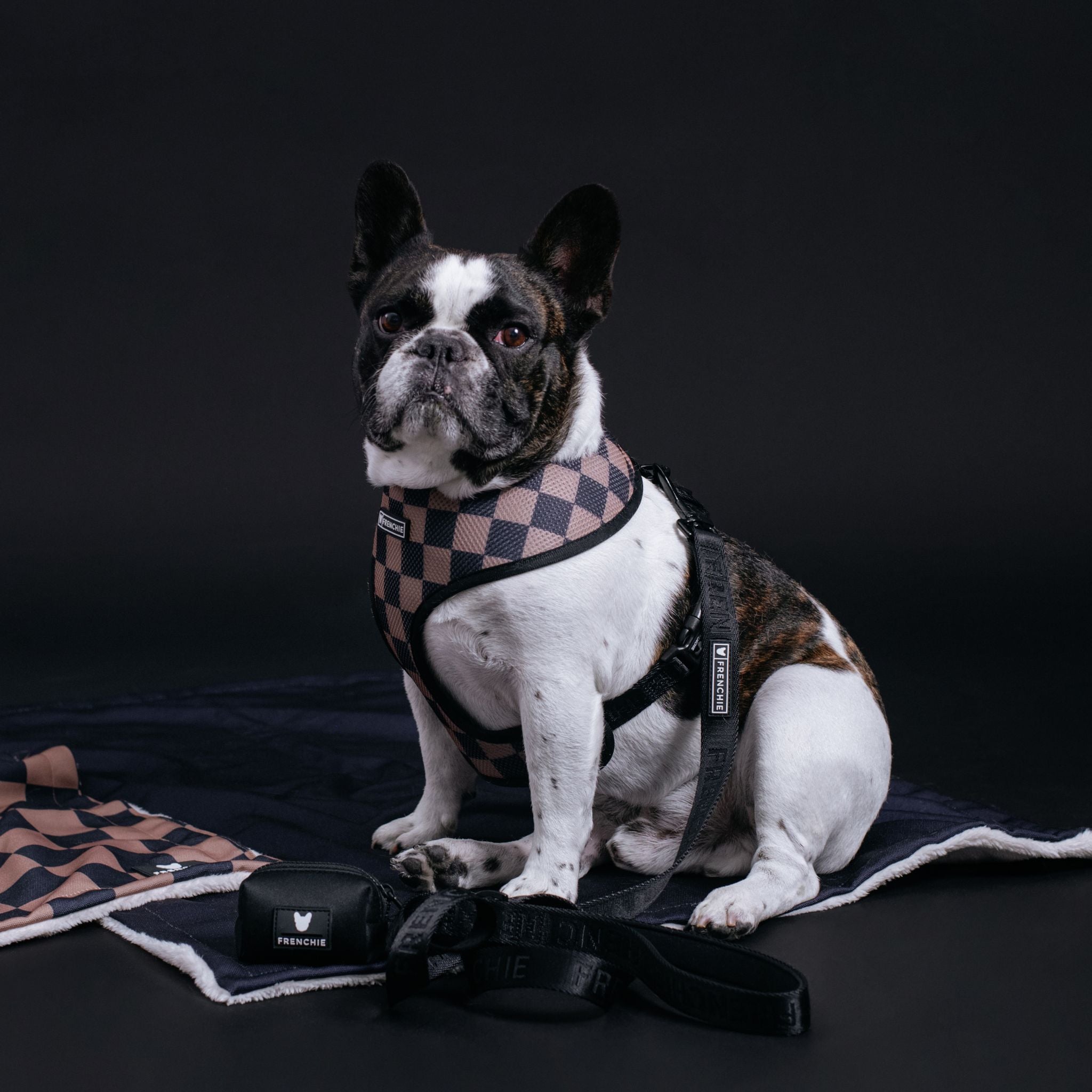 Frenchie Duo Reversible Harness - Black