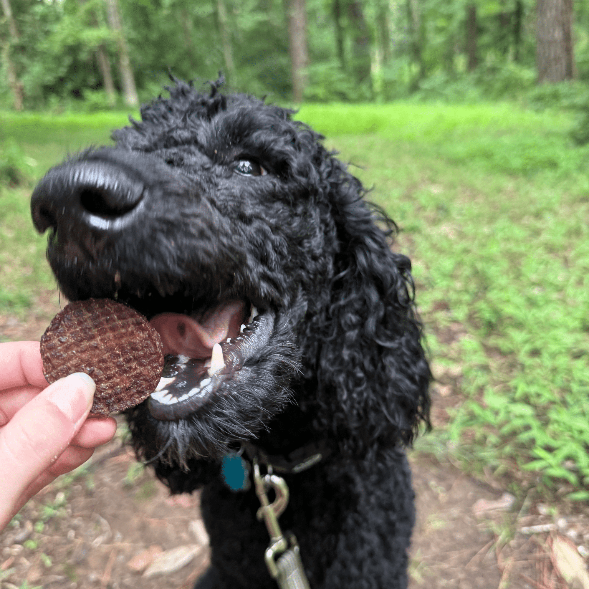 Farm To Pet Beef Chips Dog Treats