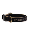 Up Country Color Market - Extra Wide 1.5" Cast Brass Dog Collar