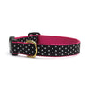 Up Country Black and White Dot Cast Brass Dog Collar