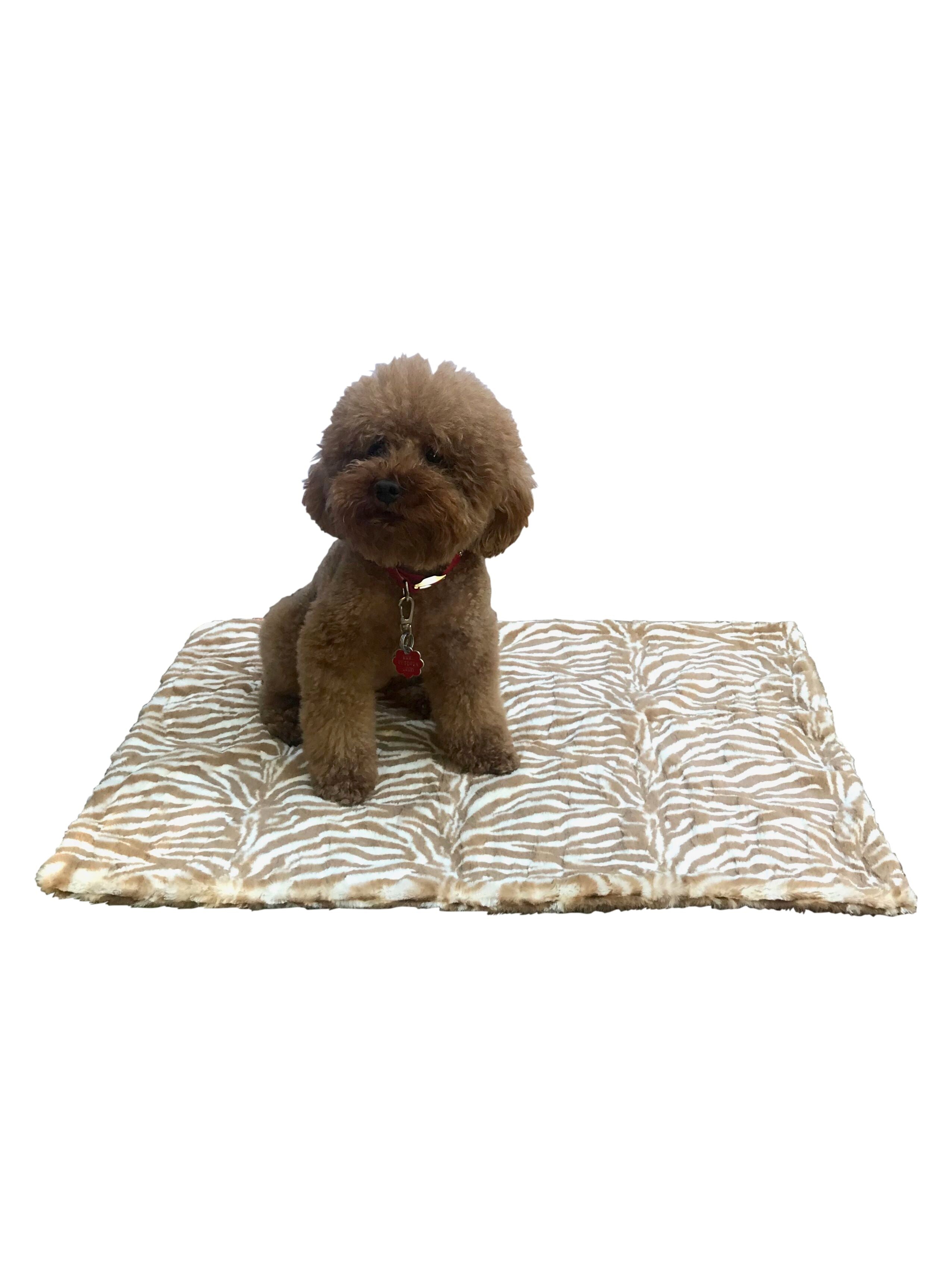 Small Blanket, Zebra Cappuccino