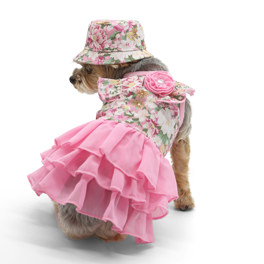 DOGO Blossom Dog Bucket Hat
