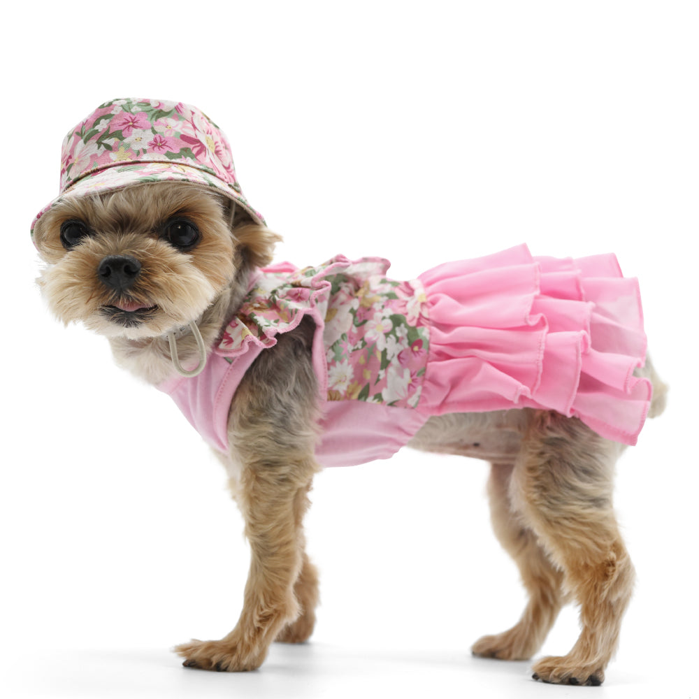DOGO Blossom Dog Dress