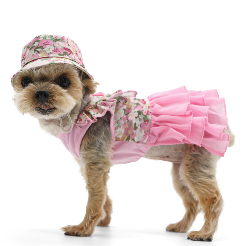 DOGO Blossom Dog Bucket Hat