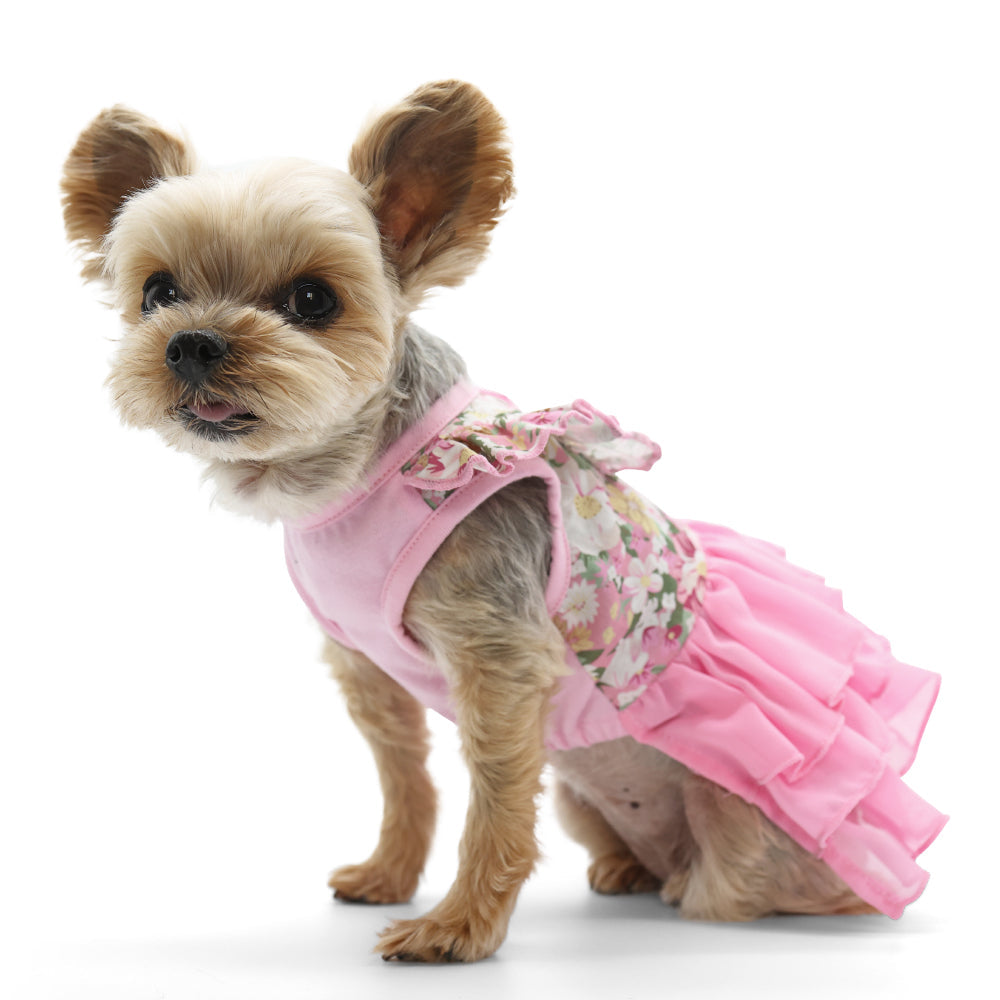 DOGO Blossom Dog Dress