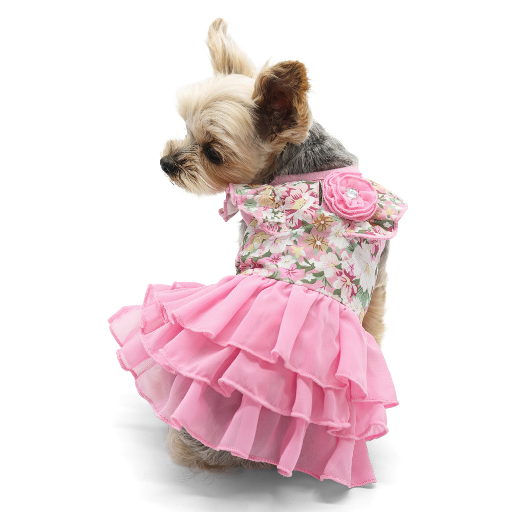 DOGO Blossom Dog Dress