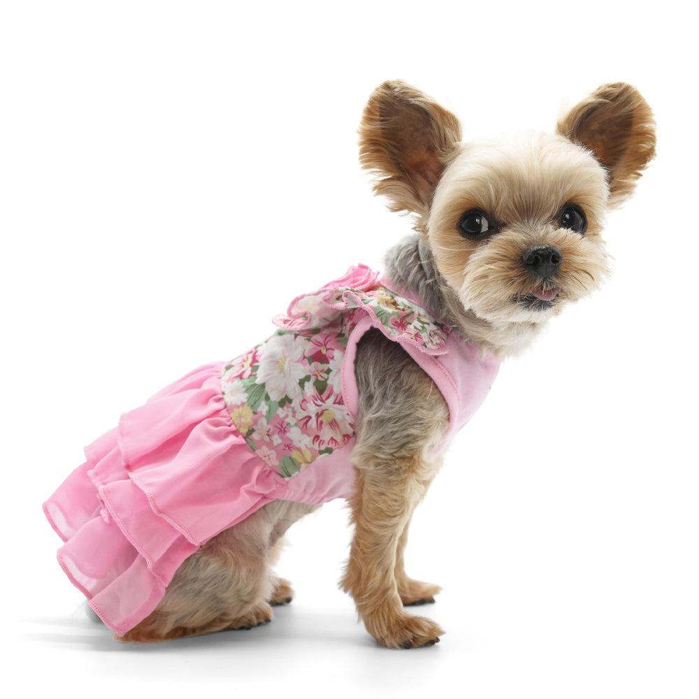 DOGO Blossom Dog Dress