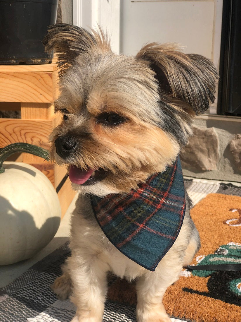 Blue Fall Flannel