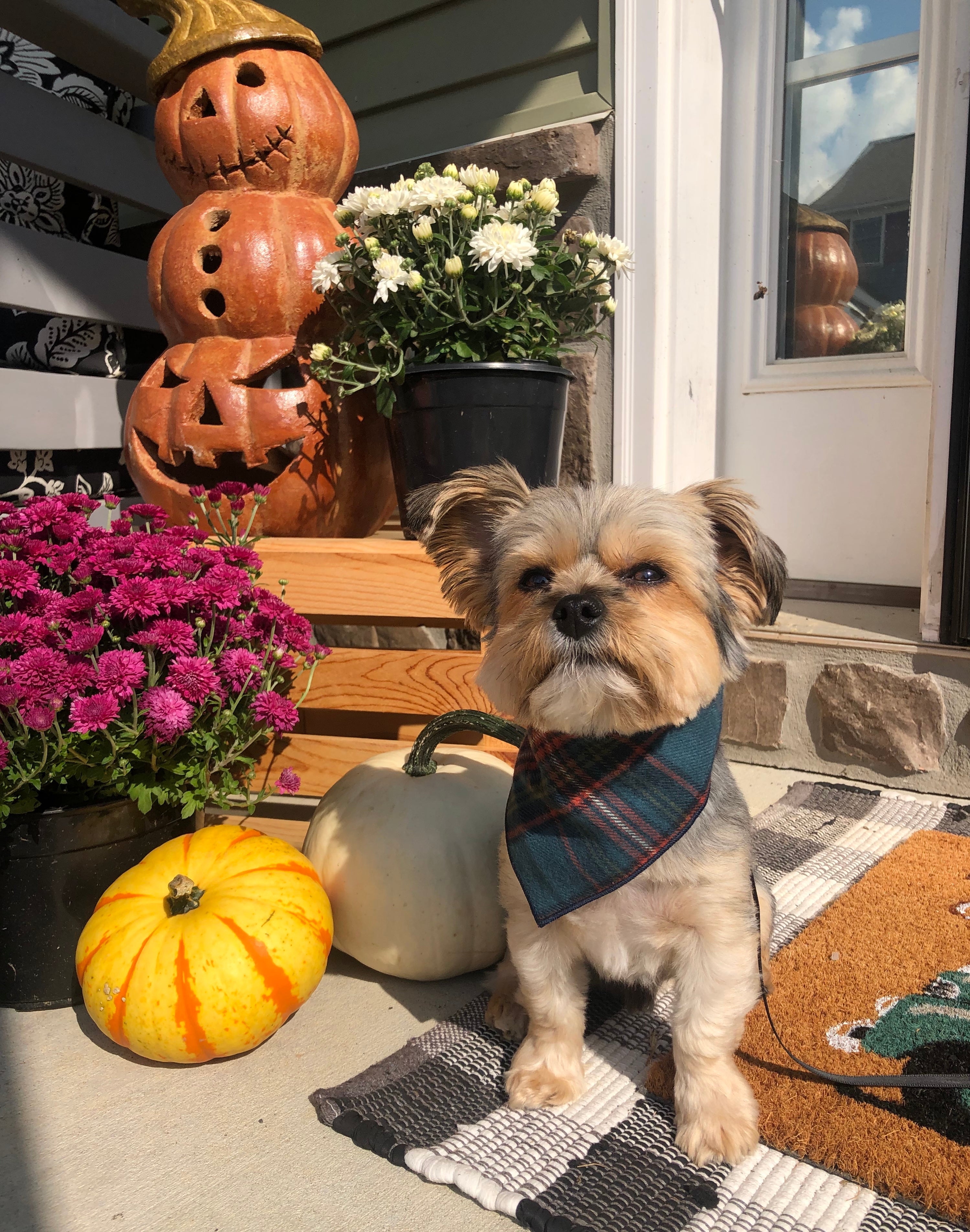 Blue Fall Flannel