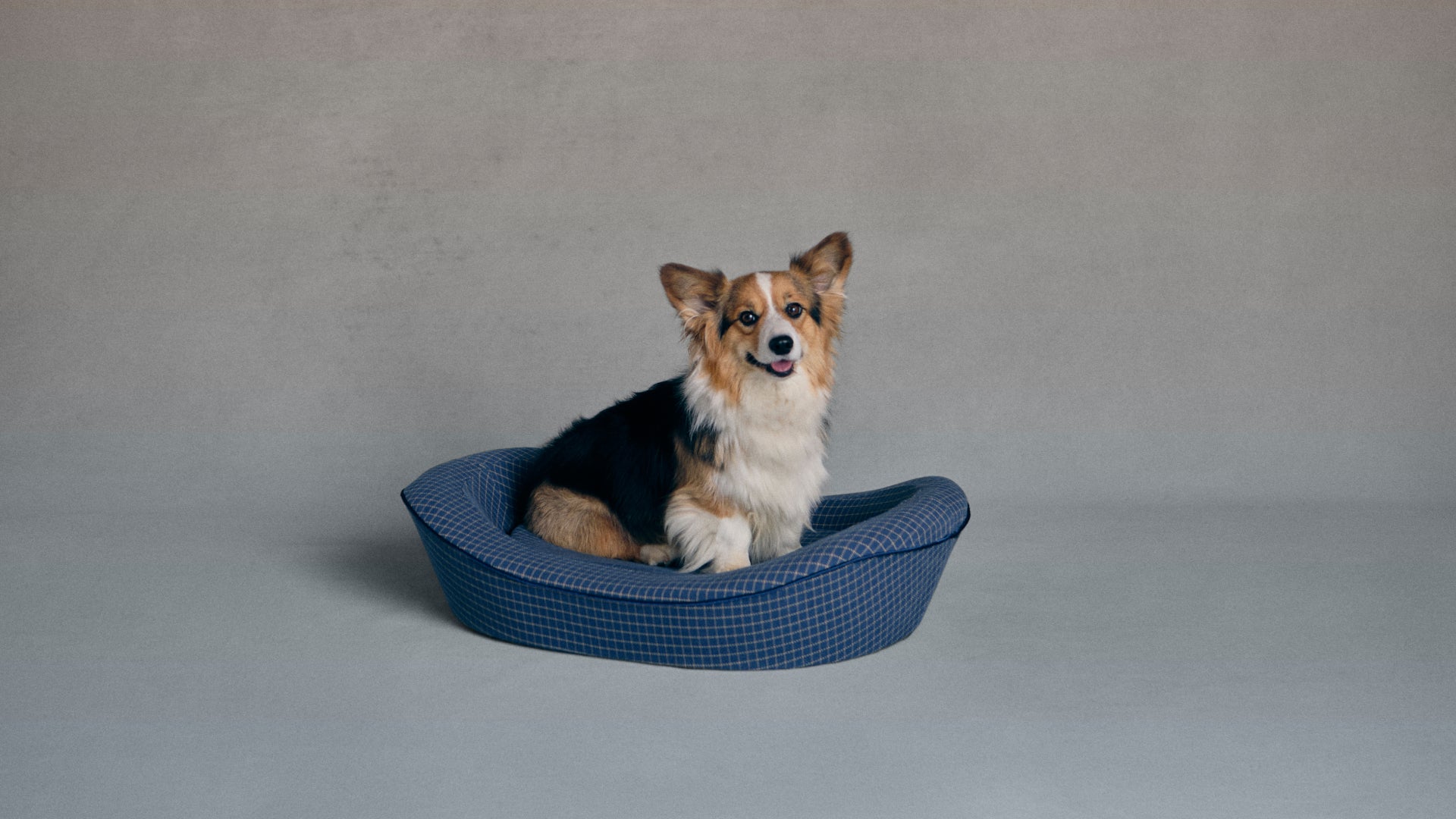 Timeless Dog Bed in Wrens Blueprint