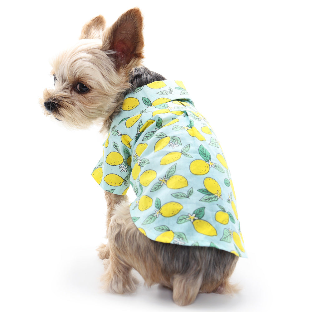 DOGO Blue Lemon Dog Shirt