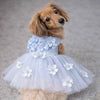 Heads or Tails Pup Blue Ceremony Dog Dress