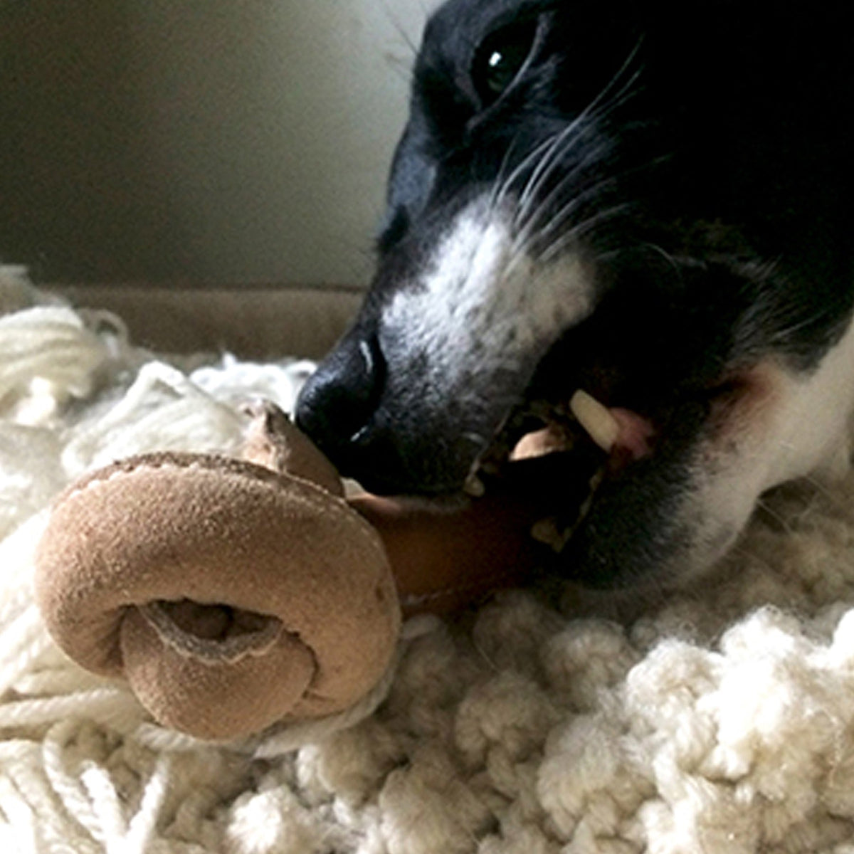 Huggle-Hide Natural Leather Bone Dog Toy, 3 Pack