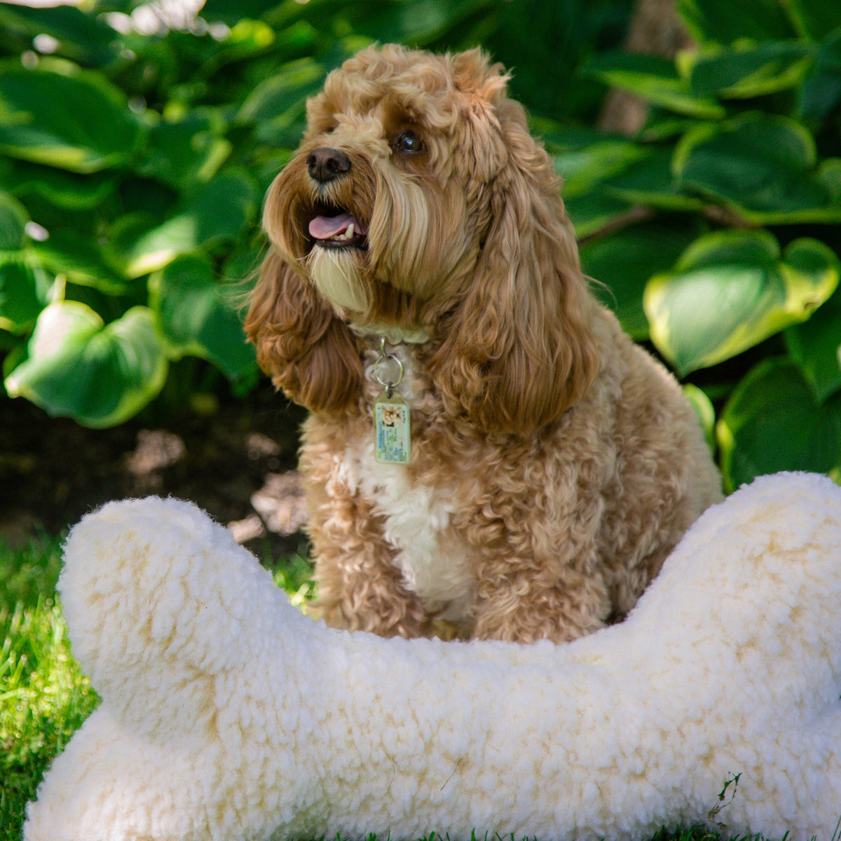 HuggleFleece 2 Plush Bone Dog Toy