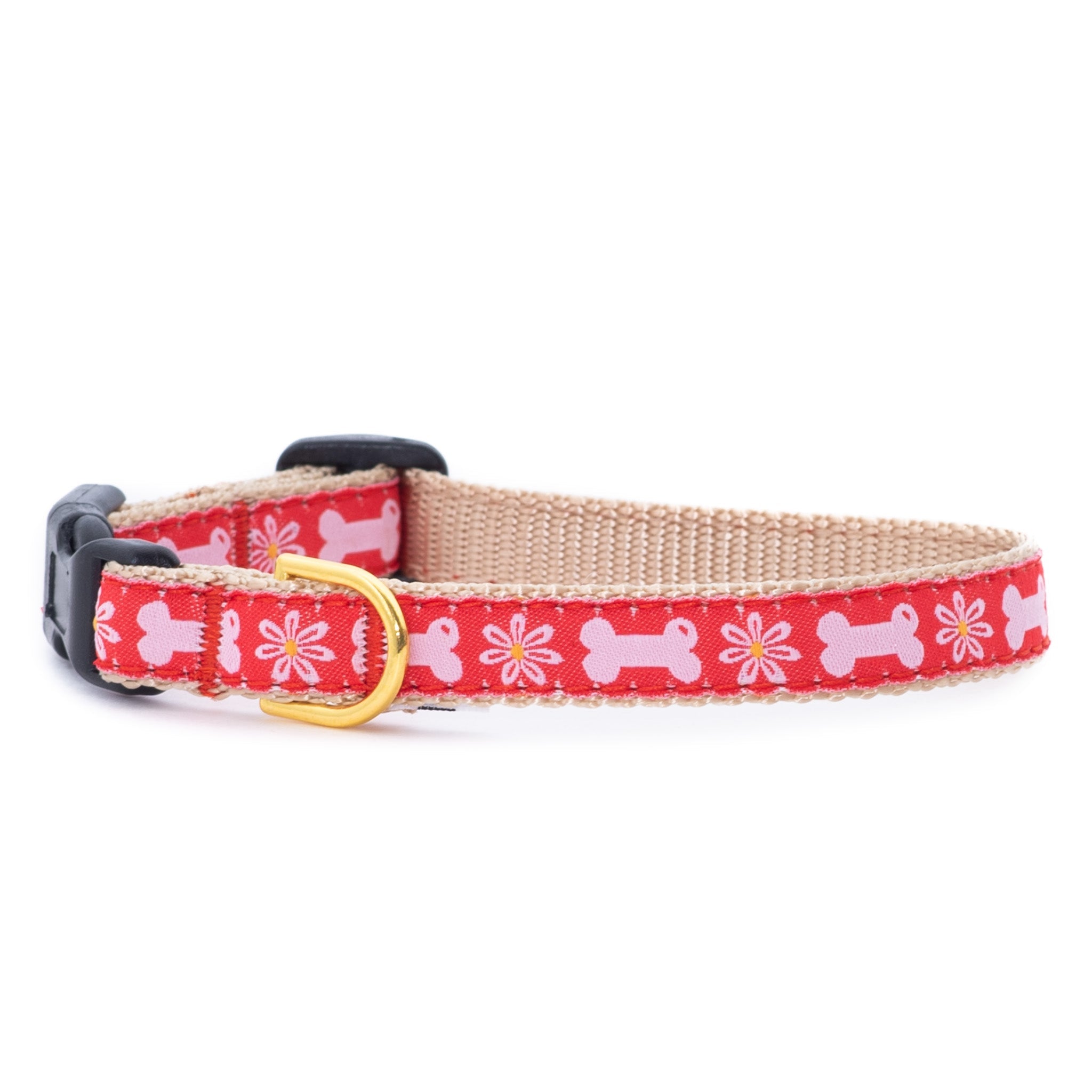 Bones in Bloom Small Breed Dog Collar | HT Animal Supply