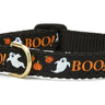 Boo! Small Breed Dog Collar