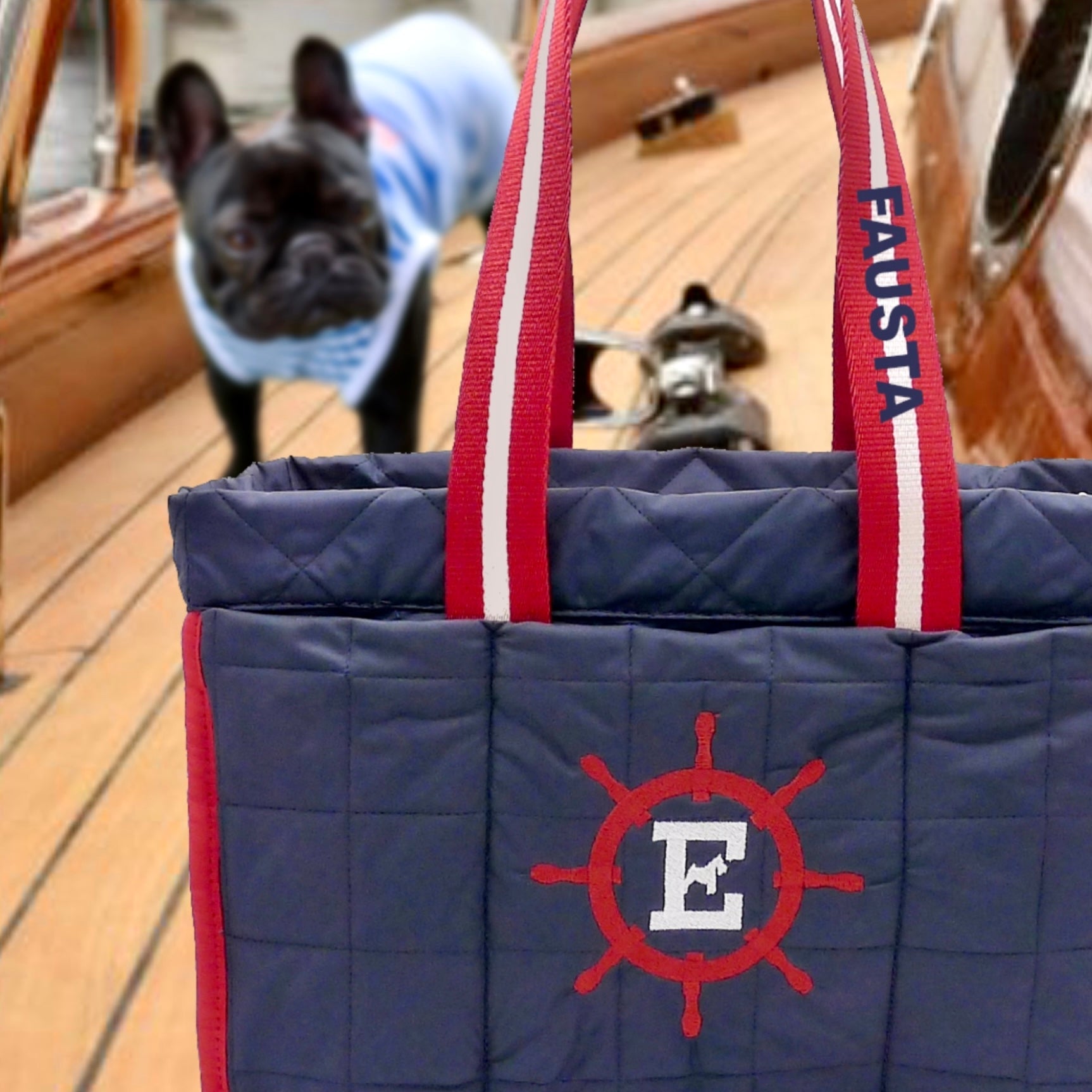 Cruise Dog-Bag