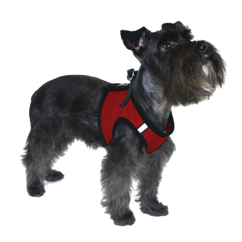 Dogline Boston Mesh Dog Harness with Built-In Hook & Loop Fastener