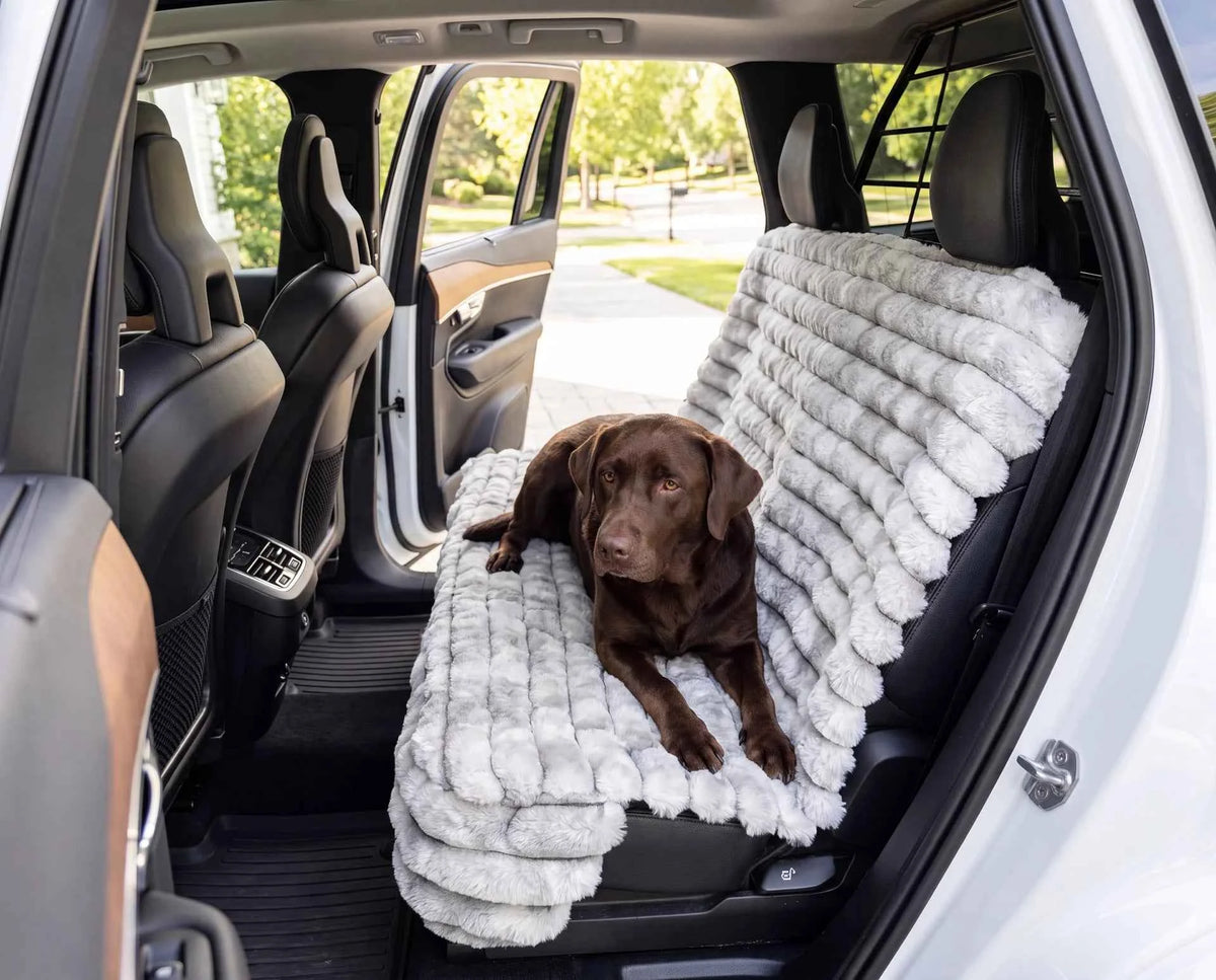 Bowsers Bench Dog Car Seat Cover
