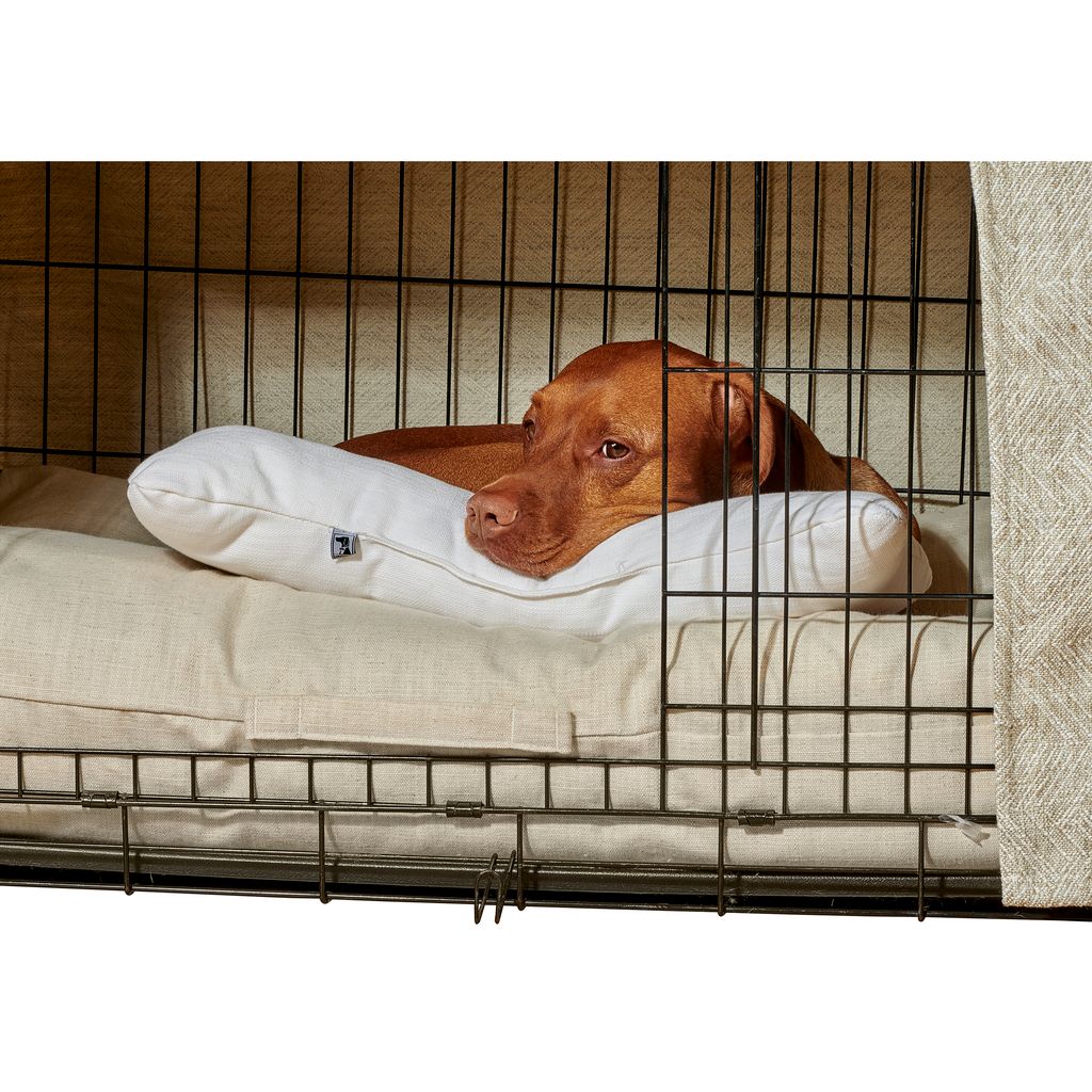 Bowsers Holiday Bone Pillow Crimson