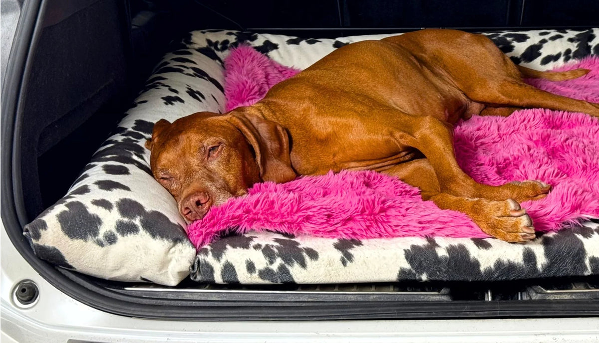 Bowsers SUV Cargo Lounger Reversible Blanket Topper