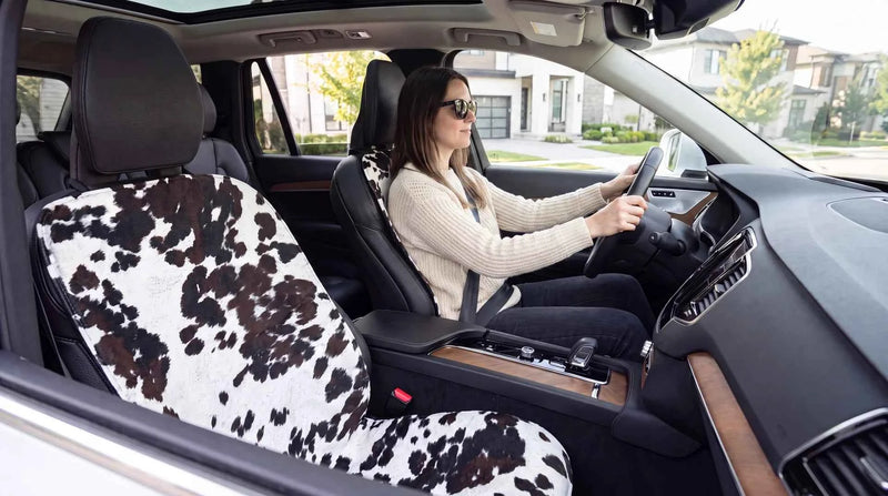 Bowsers Single Dog Car Seat Cover