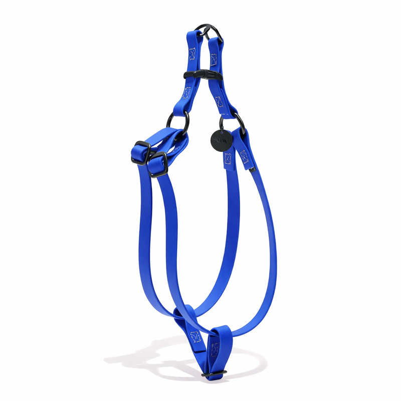 Water Resistant Cat & Dog Harness – Bright Blue with Matte Black Hardware | Durable, Adjustable & All-Weather