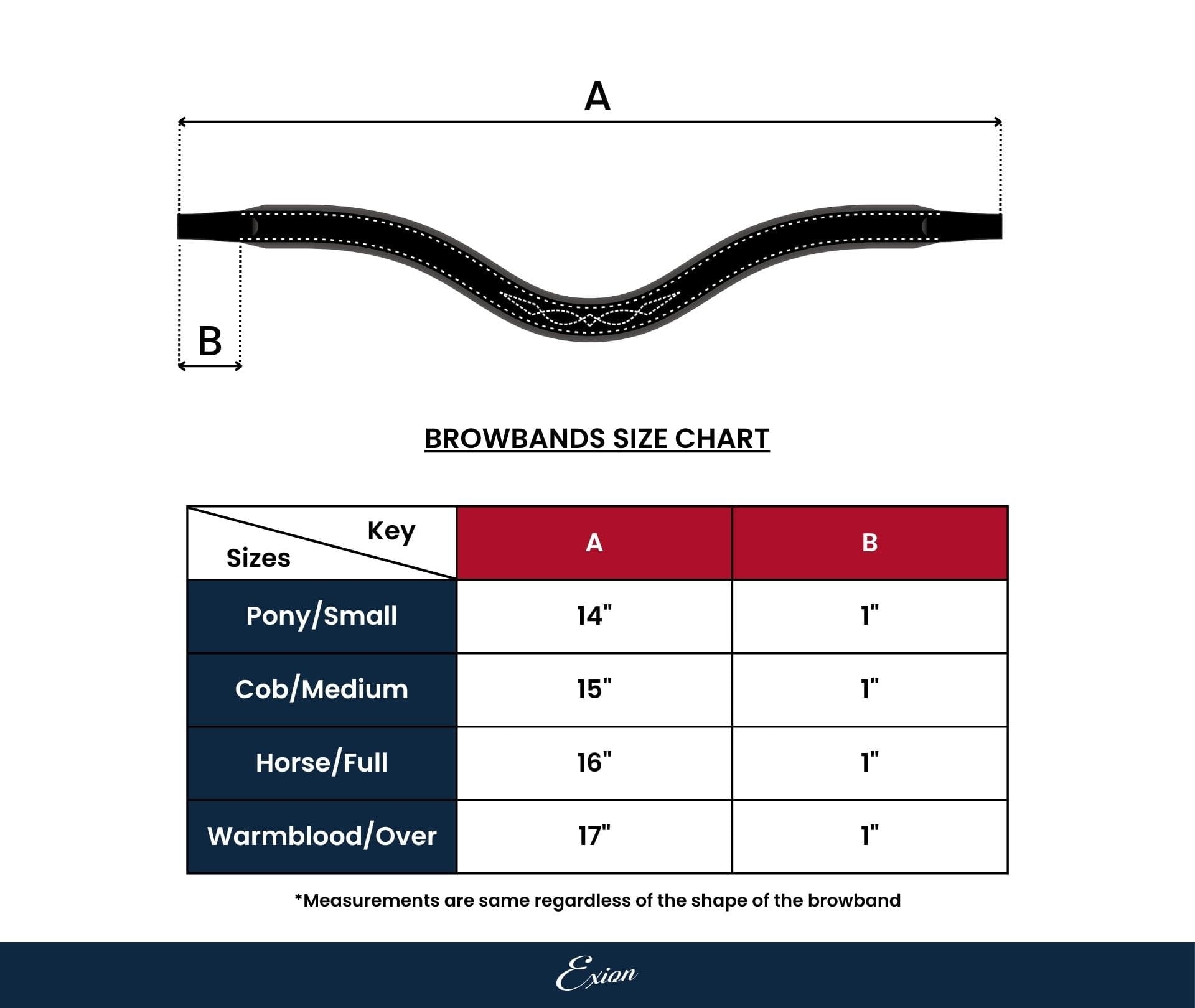 ExionPro Square Raised Padded Browband | HT Animal Supply