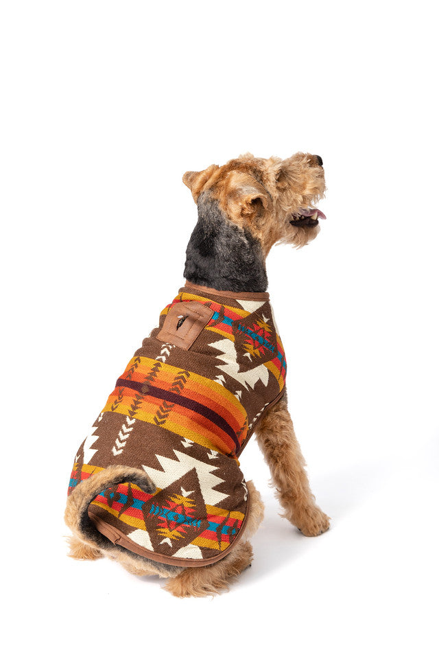 Brown Southwest Blanket Dog Coat