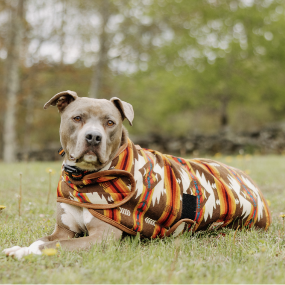 Chilly Dog Brown Southwest Wool Blanket Dog Coat
