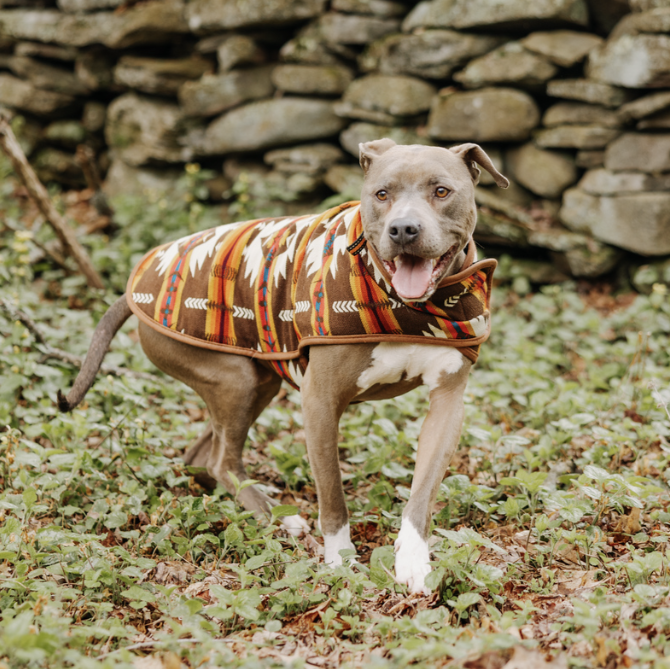 Chilly Dog Brown Southwest Wool Blanket Dog Coat
