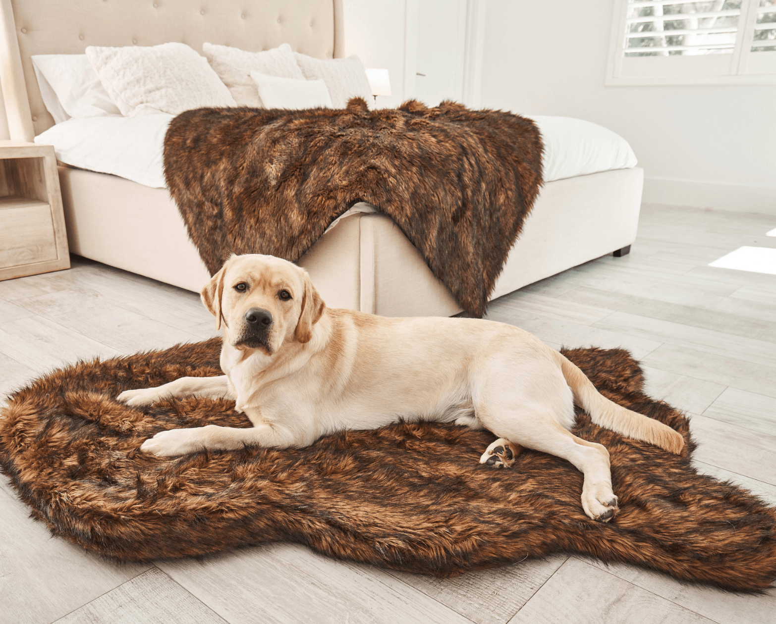 Puprug Faux Fur Orthopedic Dog Bed Curve Brown