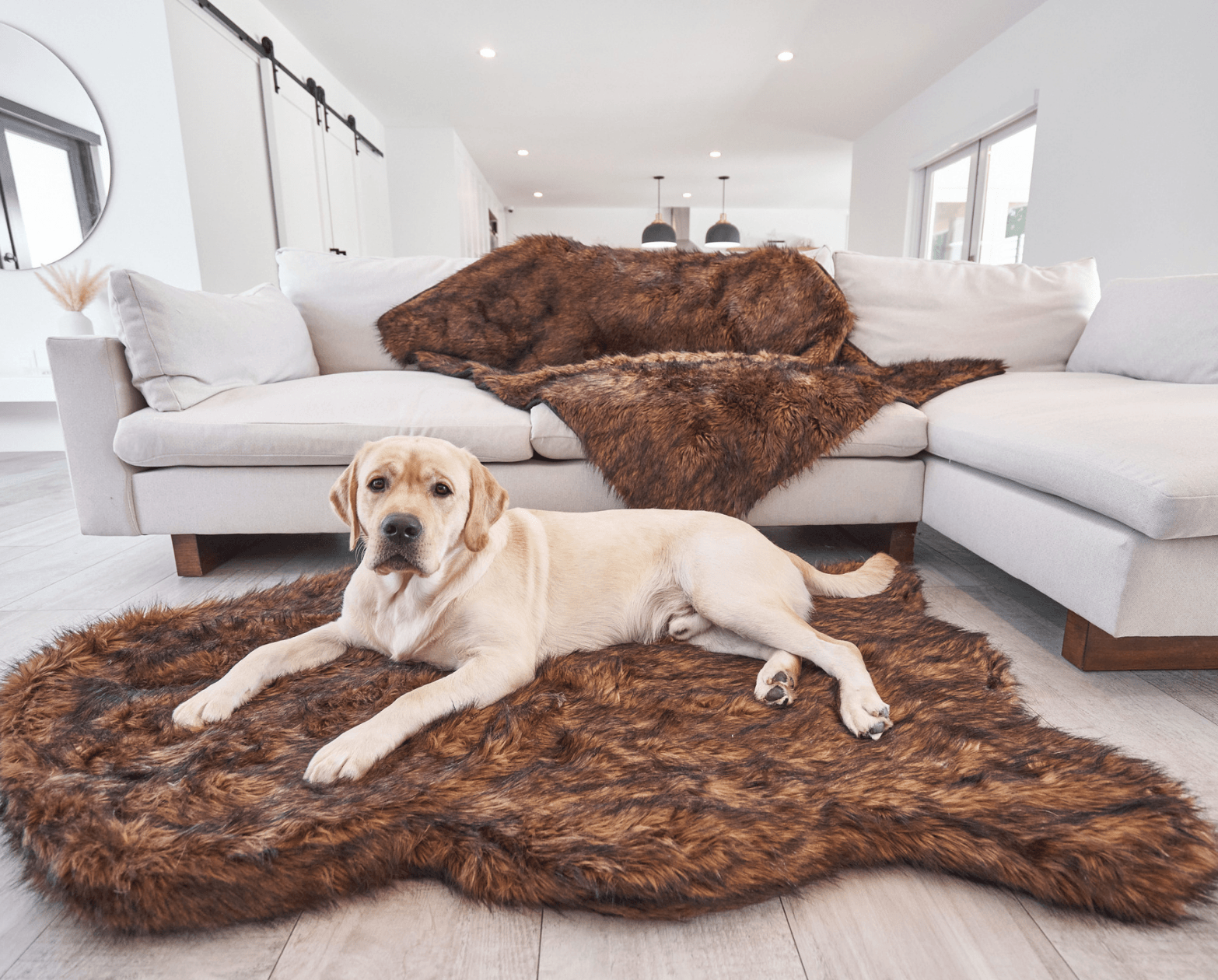 Puprug Faux Fur Orthopedic Dog Bed Curve Brown