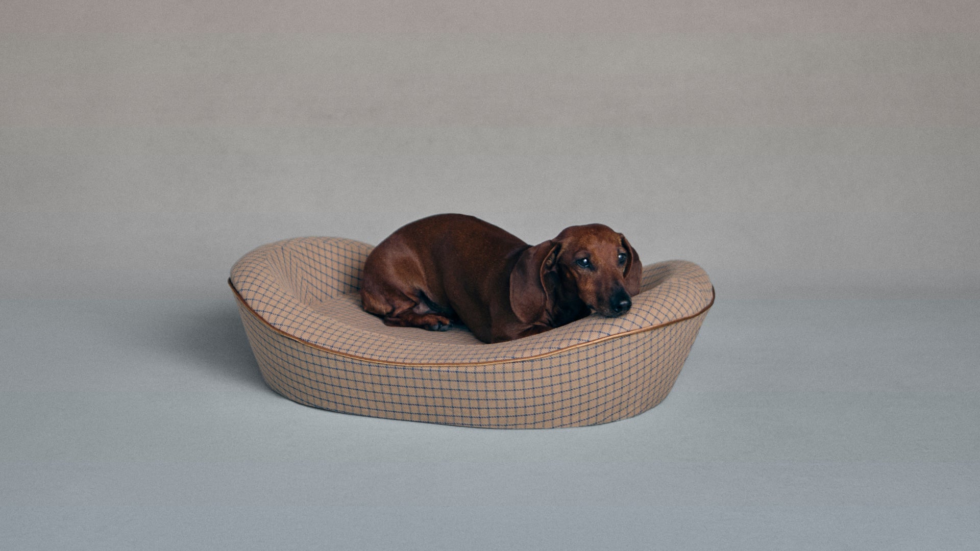 Timeless Dog Bed in Tawny Ledger