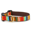 Up Country Brown Stripe Cast Brass Dog Collar