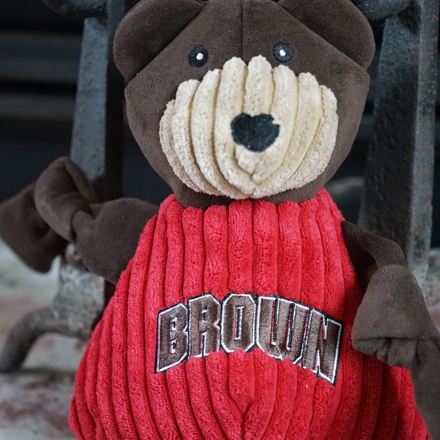 NCAA Brown University, Bruno the Bear Knottie Plush Dog Toy
