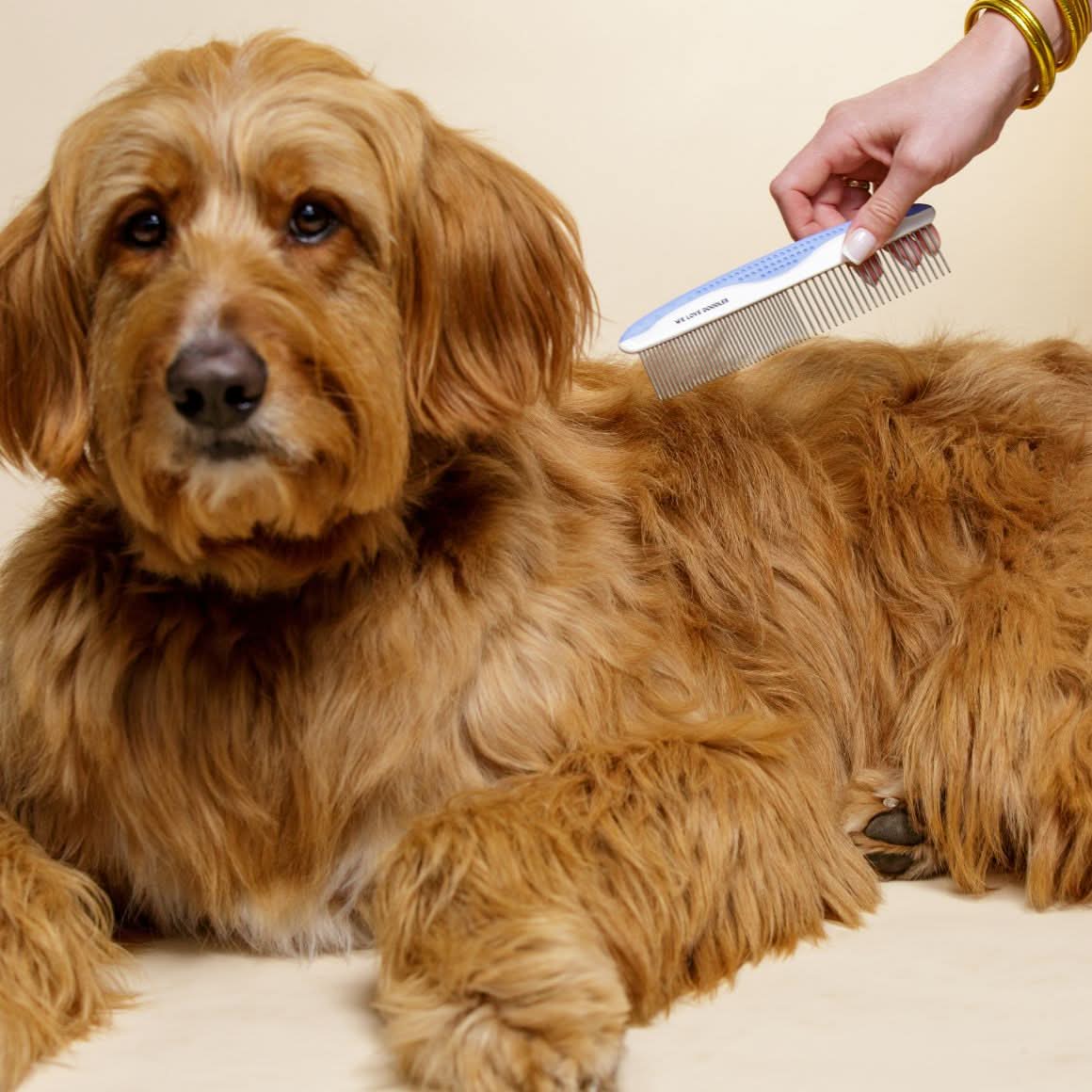 Grooming Combs