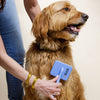 Slicker Brush for Dogs