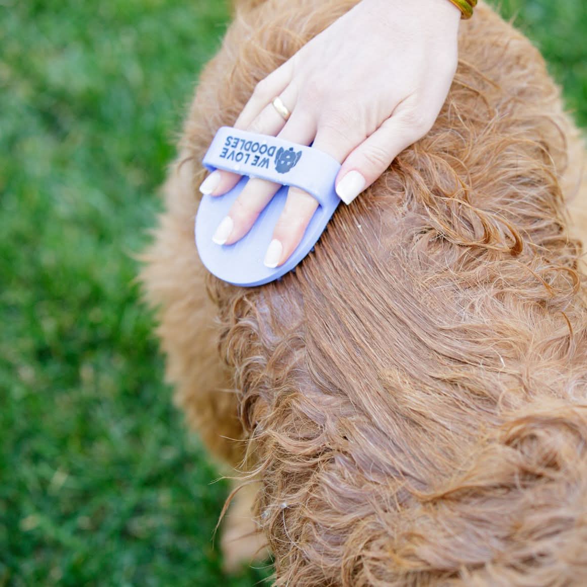 Dog Bath Brush