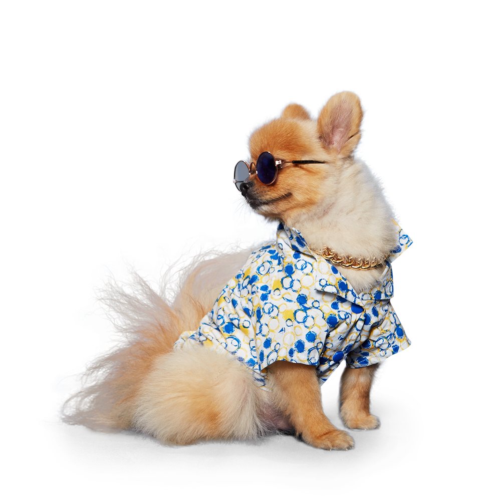 DOGO Bubble Dog Shirt