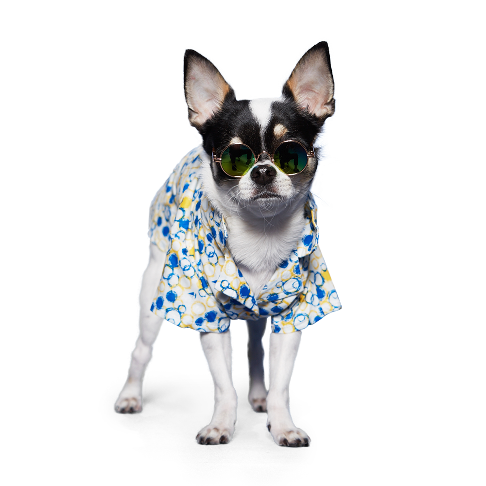 DOGO Bubble Dog Shirt