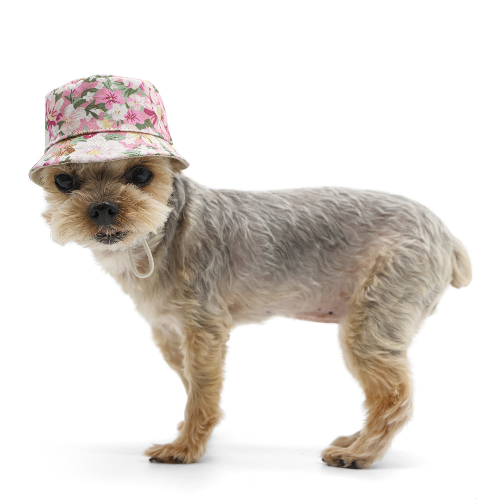DOGO Blossom Dog Bucket Hat